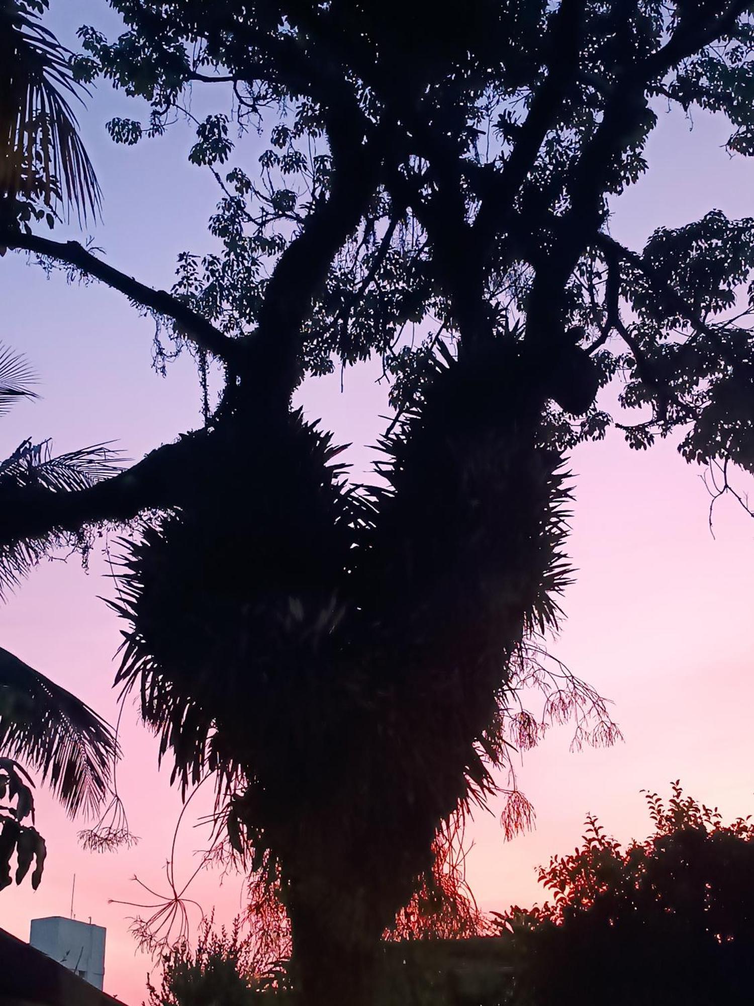 Enseada Suites Guaruja Bagian luar foto